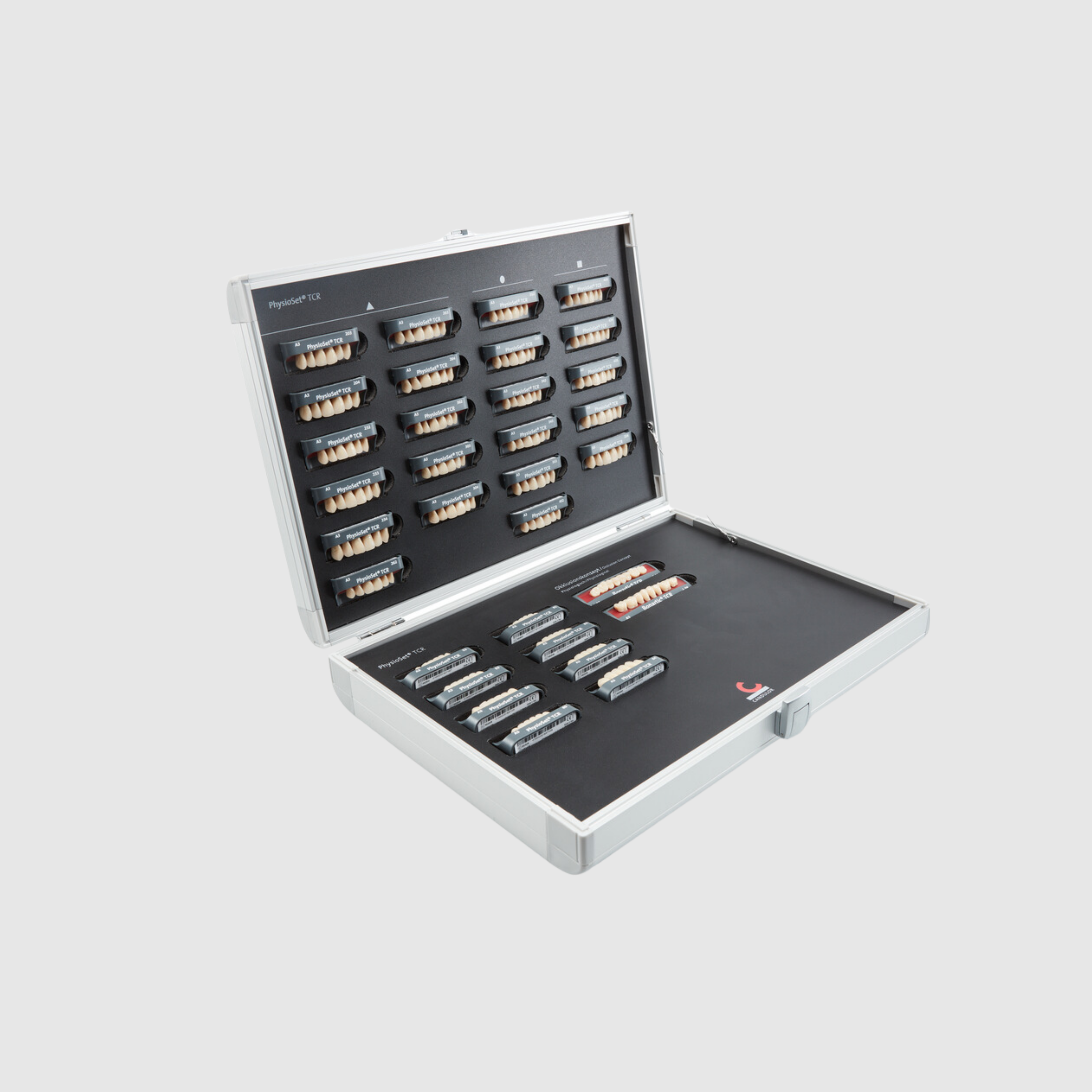 Lebende Zahnformenkarte PhysioSet TCR
